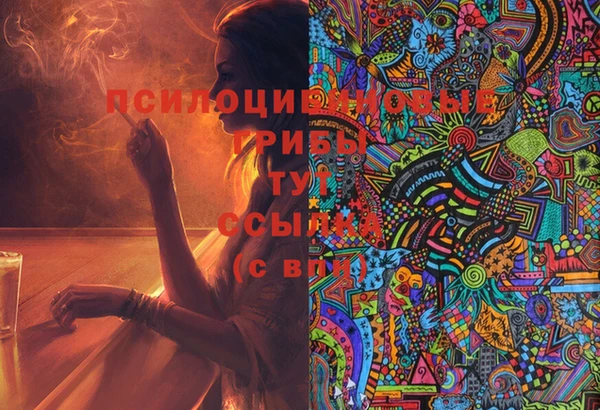 твердый Пересвет