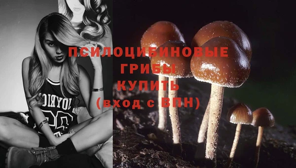 дживик Алзамай