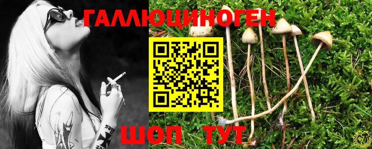 Ливны  Галлюциногенные грибы ЛСД  Галлюциногенные грибы Magic Shrooms  купить наркоту  Вход с VPN 